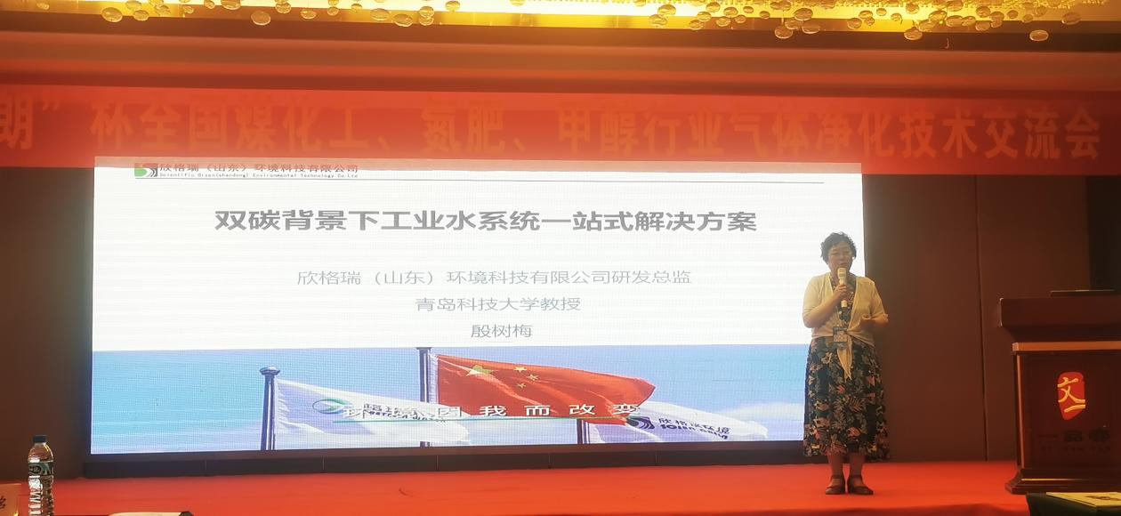 欣格瑞受邀出席“2023全國煤化工、氮肥、甲醇行業(yè)氣體凈化技術(shù)交流會(huì)”